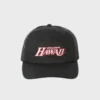 A.I. Champ Trucker A.I. Champ Trucker