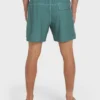 Dbah Panel Layback 16″ Badehose Dbah Panel Layback 16″ Badehose