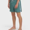 Dbah Panel Layback 16″ Badehose Dbah Panel Layback 16″ Badehose