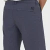 Primary Submersible 19″ Hybrid-Shorts